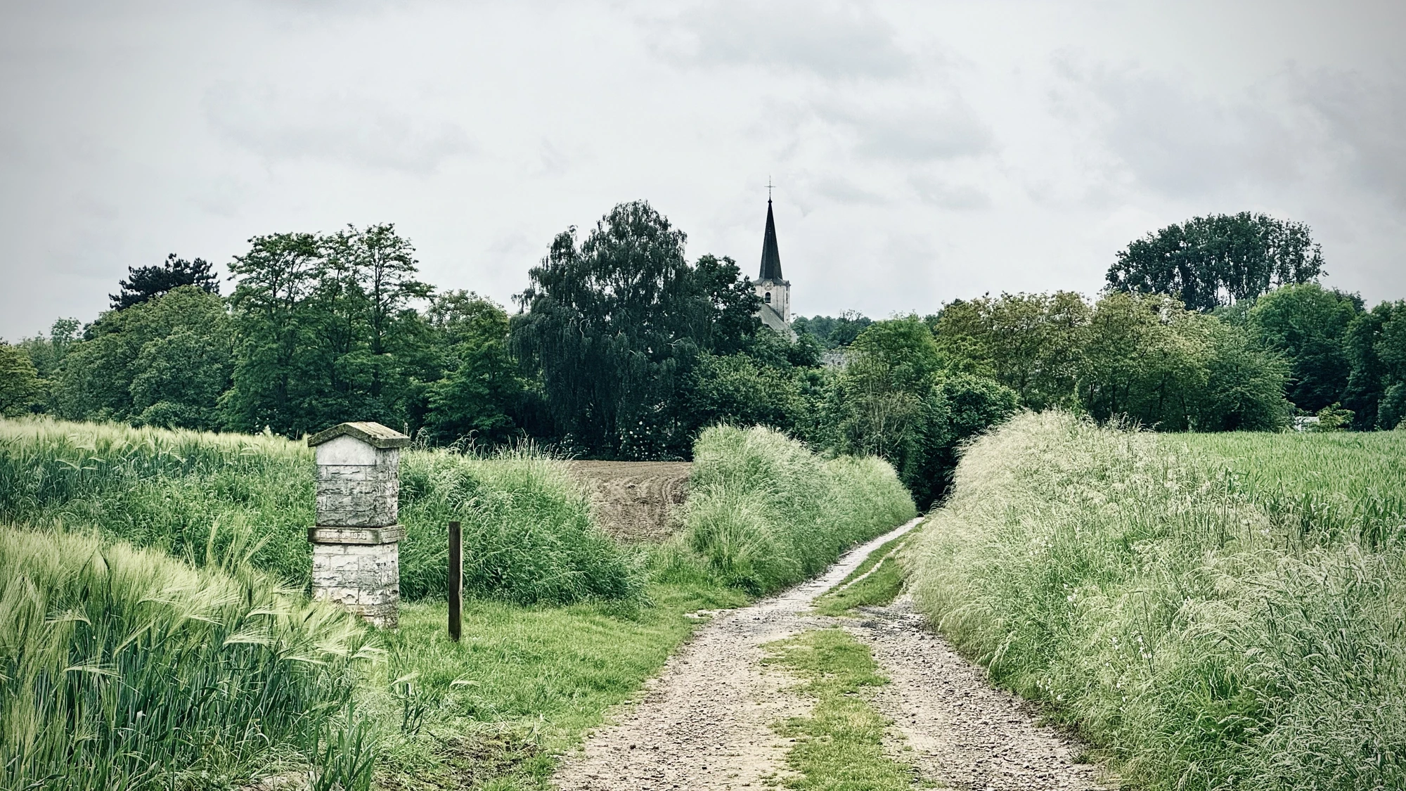 Chemin de terre entre les champs menant au clocher de Mélin, avec une potale en pierre de Gobertange